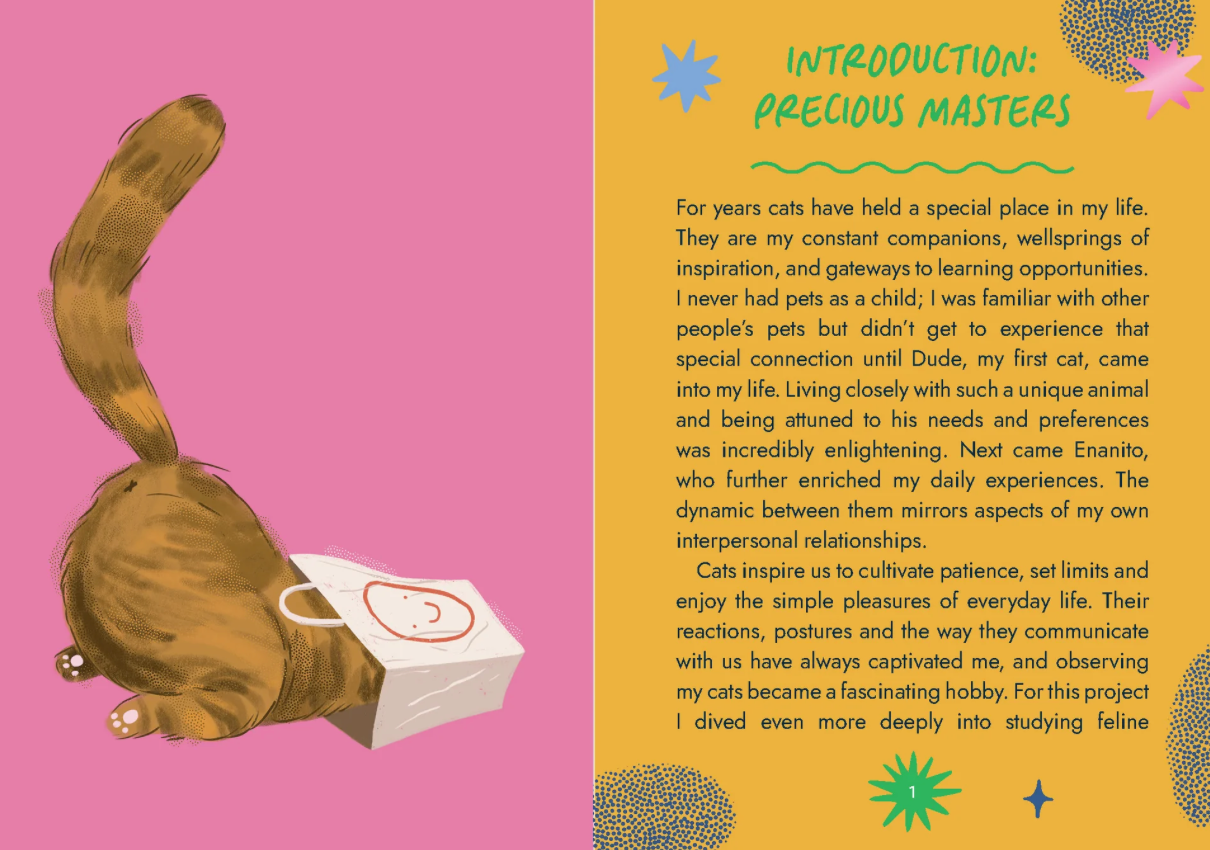 Cat Wisdom Oracle Cards