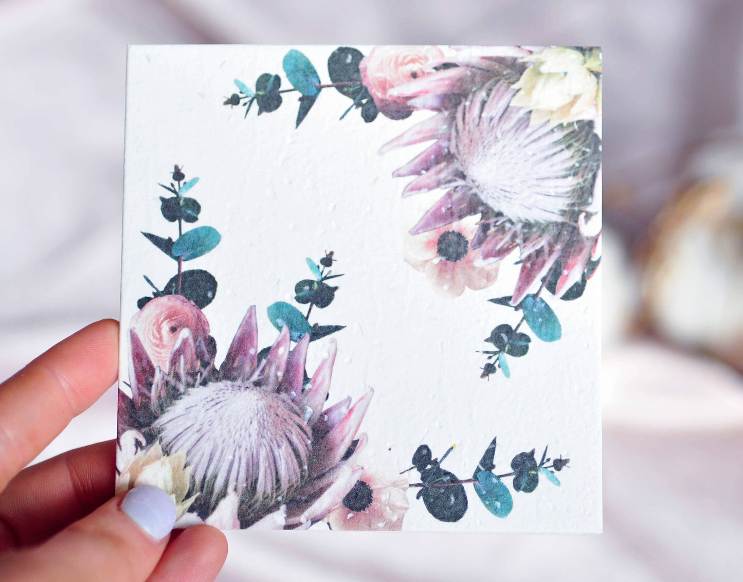 Protea Plantable Greeting Card