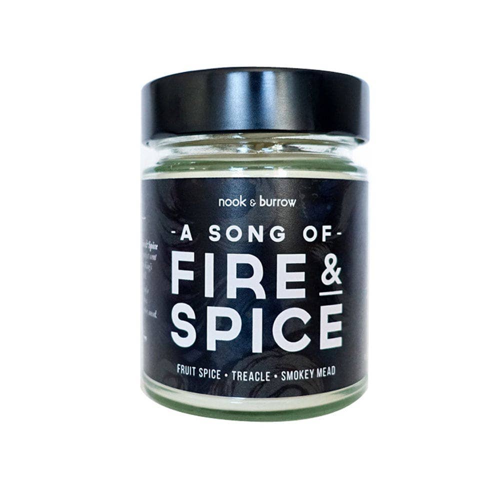 A Song of Fire & Spice | candle: 270ml - 30+ hour burn time